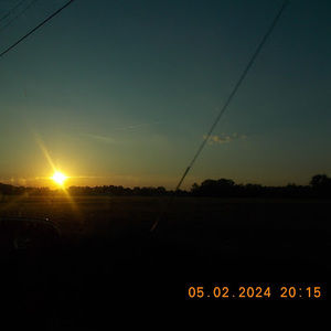 Meet your Posher, Reagan